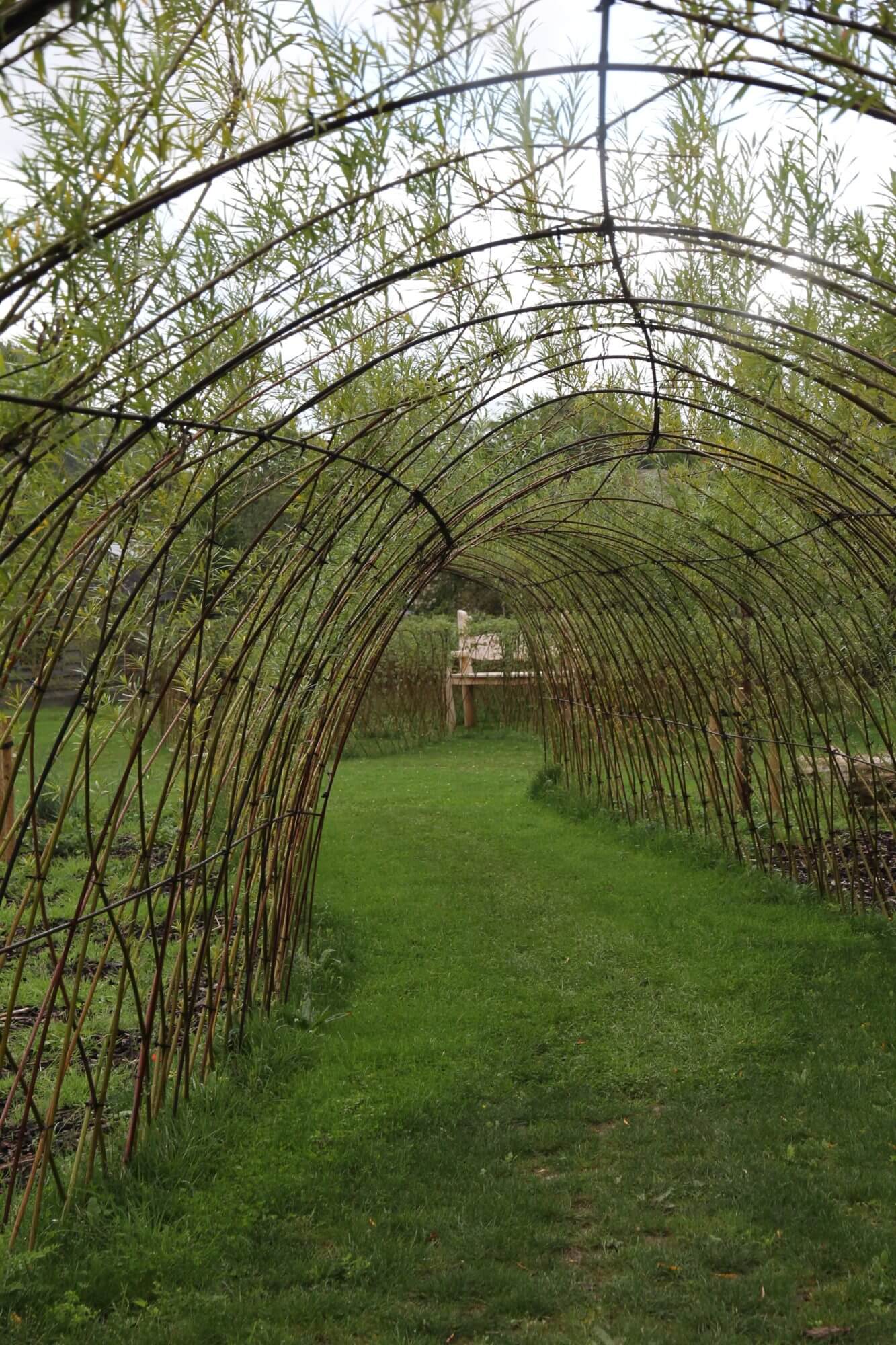 Willow tunnel through productive garden at The Pasture