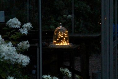 Fairy lights under a cheese dome in garden