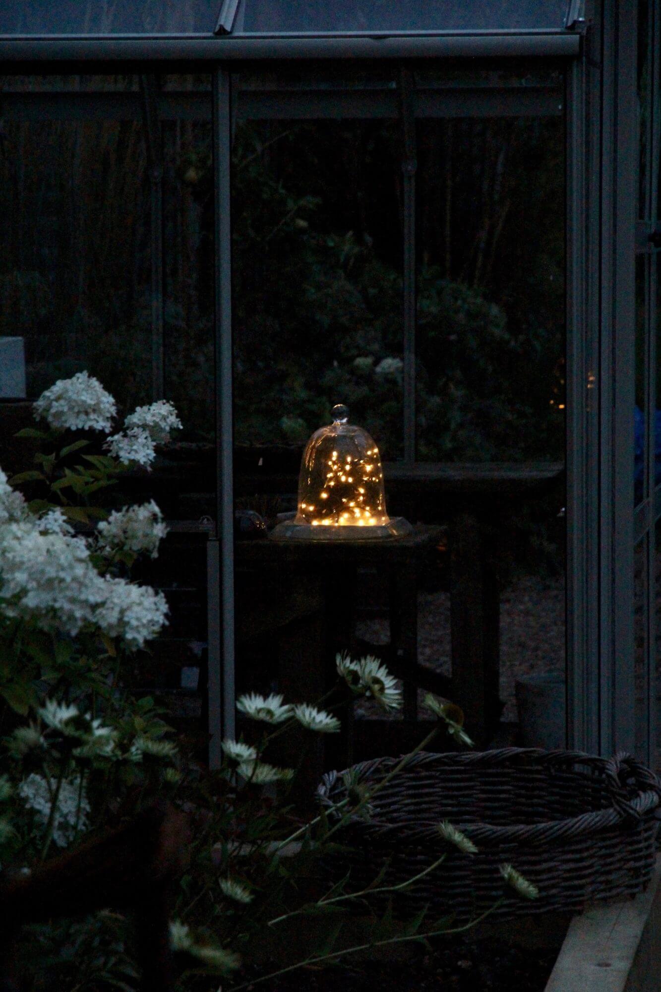 Fairy lights under a cheese dome in garden
