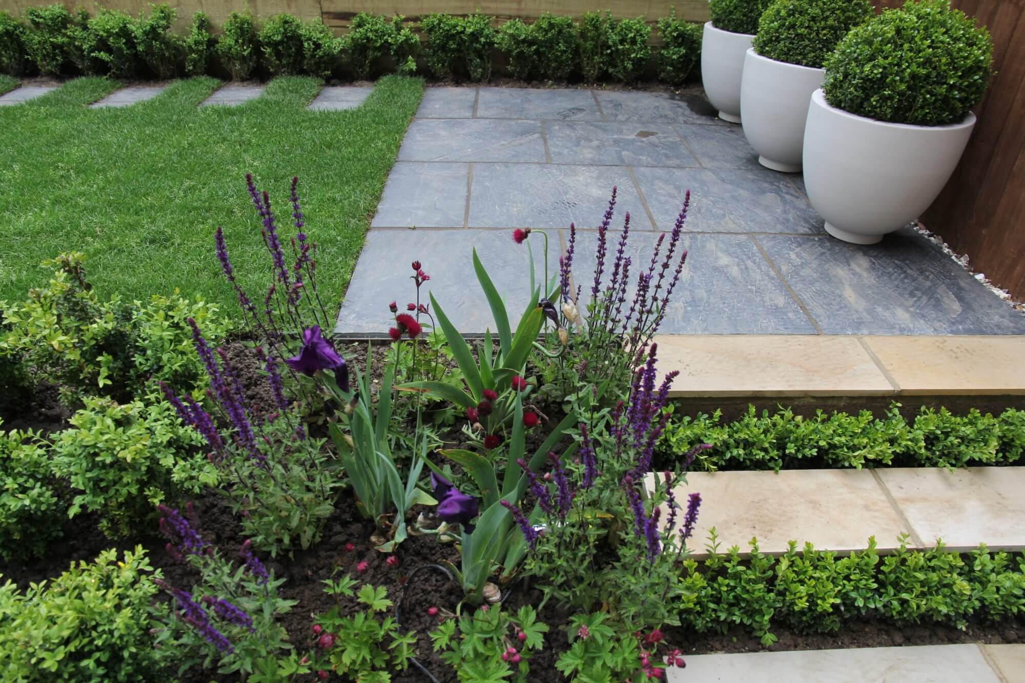 Small flower patch next to paved steps