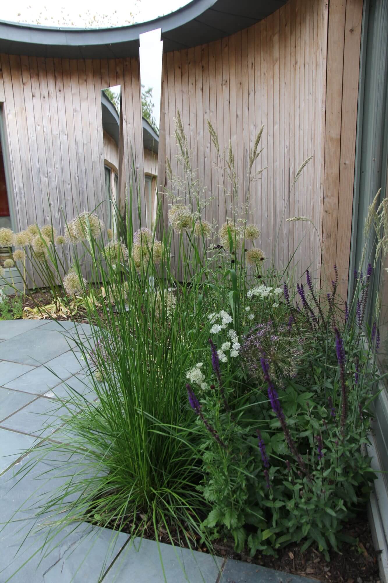 Alliums, Salvia and grasses of wooden cladded garden pod