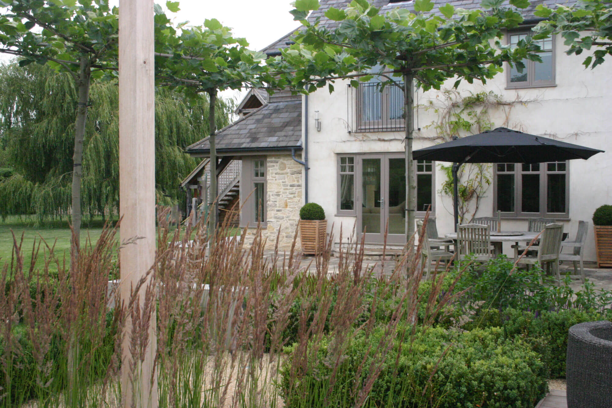 pleached London Plane trees surrounding a swimming pool in a Cotswolds garden