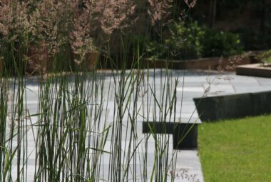 Tall grasses blowing in the wind. Behind is a view of grey wooden decking