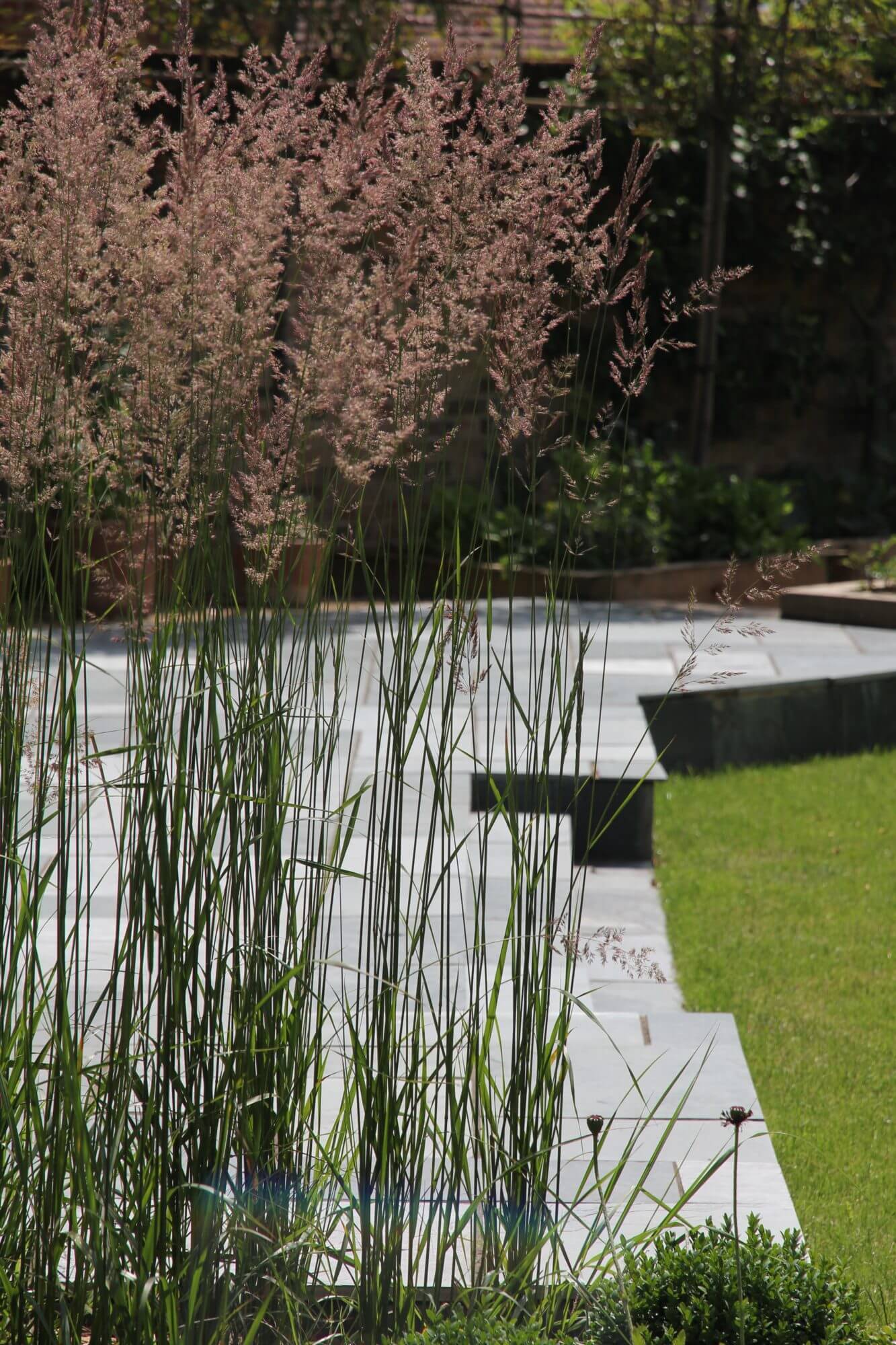 Tall grasses blowing in the wind. Behind is a view of grey wooden decking