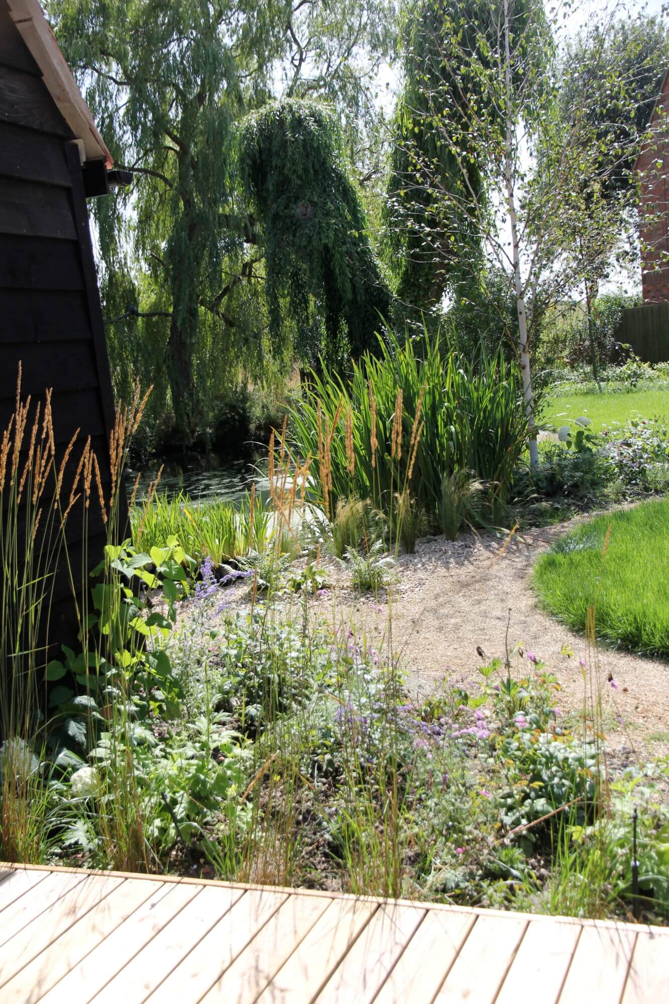 Wild flower patch in oxford garden