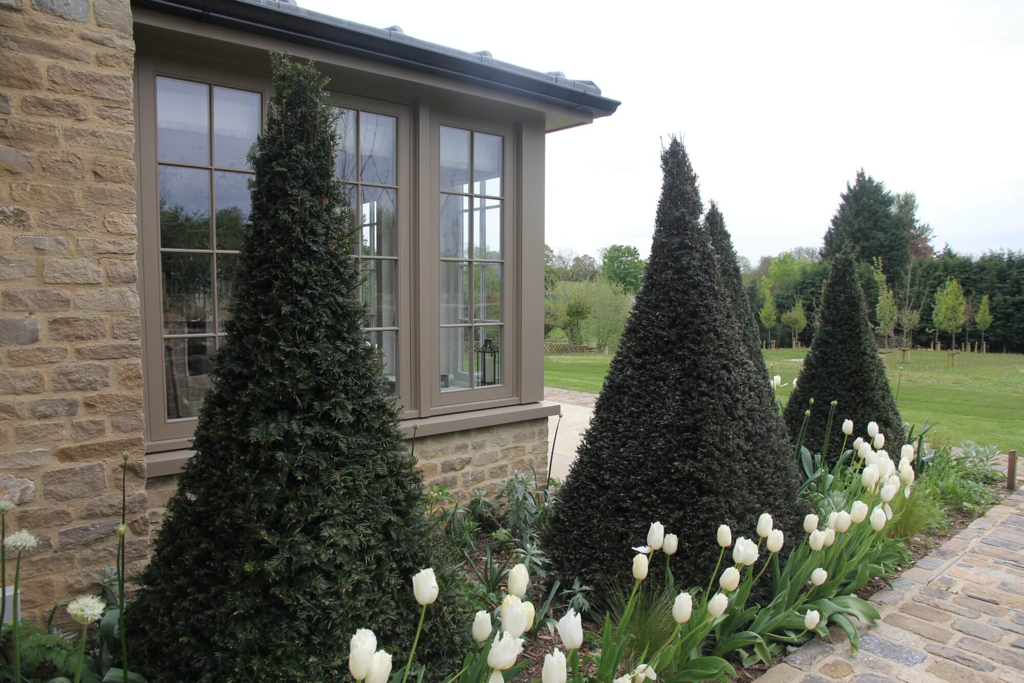 farmhouse with yew pyramids and white tulips