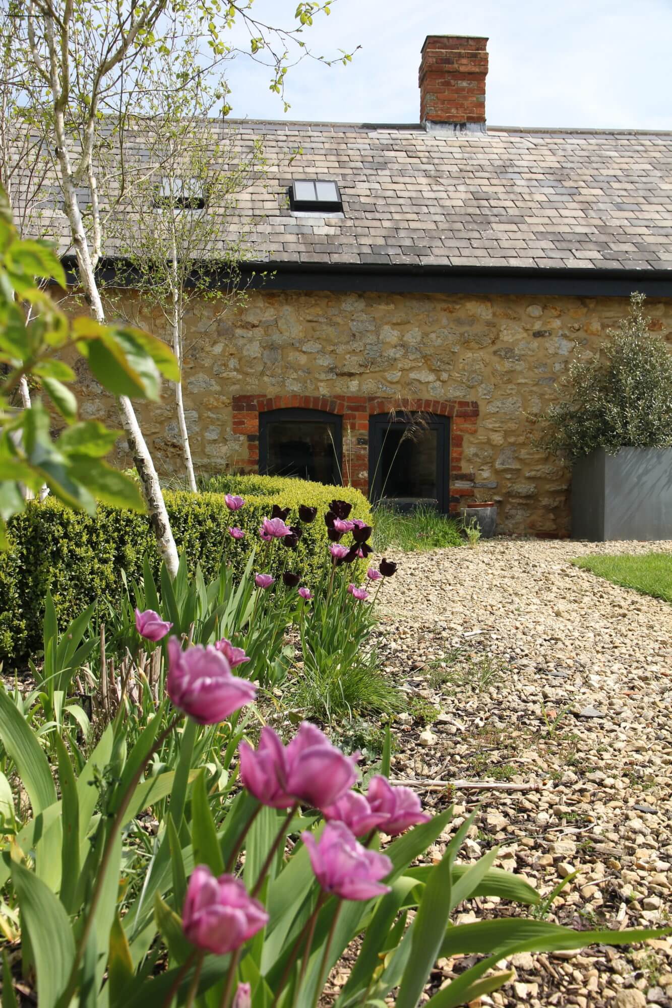 barn conversion garden Spring courtyard with Tulips