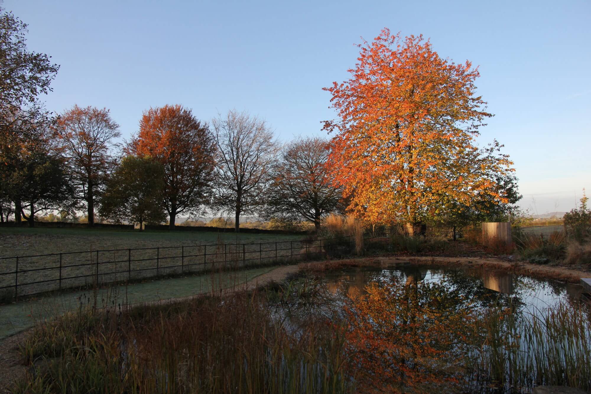 natural swimming pool in autumn with tree