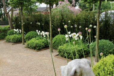 Rows of pleached box trees and topiary