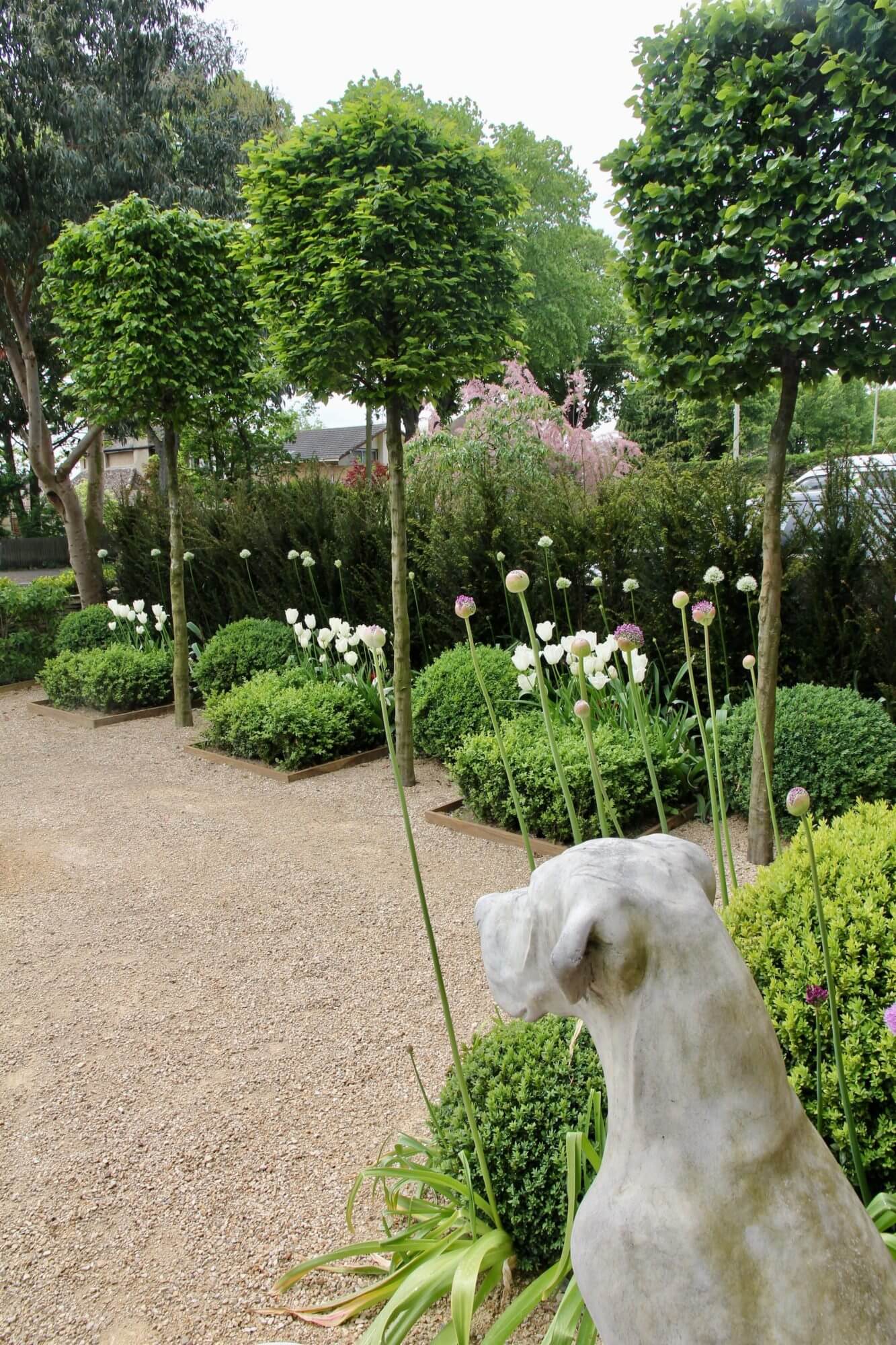Rows of pleached box trees and topiary