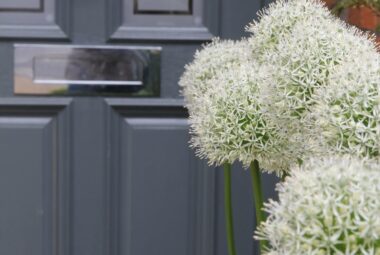 White alliums next to farrow & ball downpipes grey victorian door
