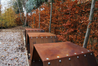 autumn garden with beehive log stores and orange beech hedge