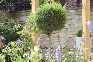 Topiary lollipop next to water bowl and surrounded by wild flowers