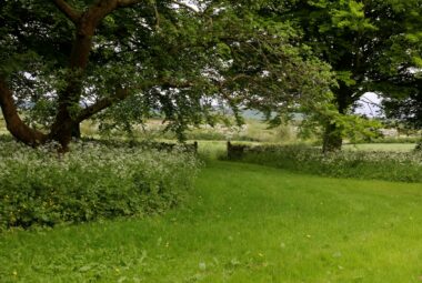 gated paddock in a modern country garden