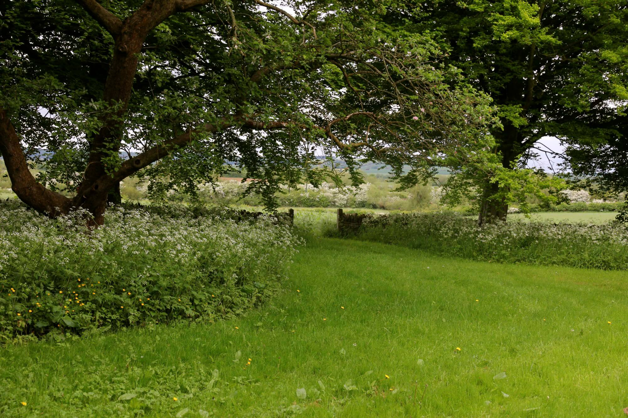 gated paddock in a modern country garden