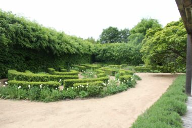 walled garden of planting