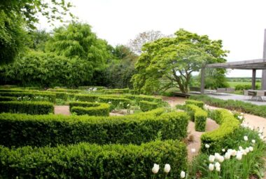 a green parterre landscape garden by an oxfordshire barn