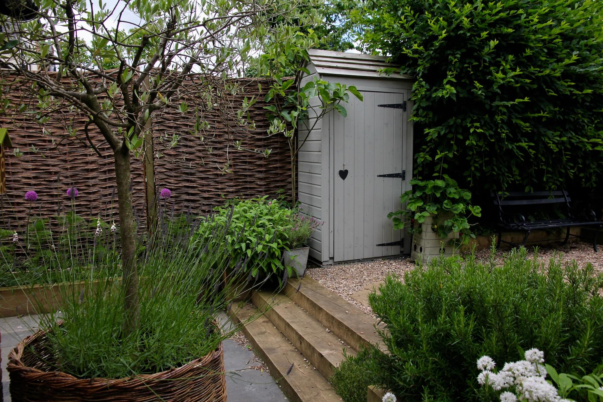 White painted garden shed