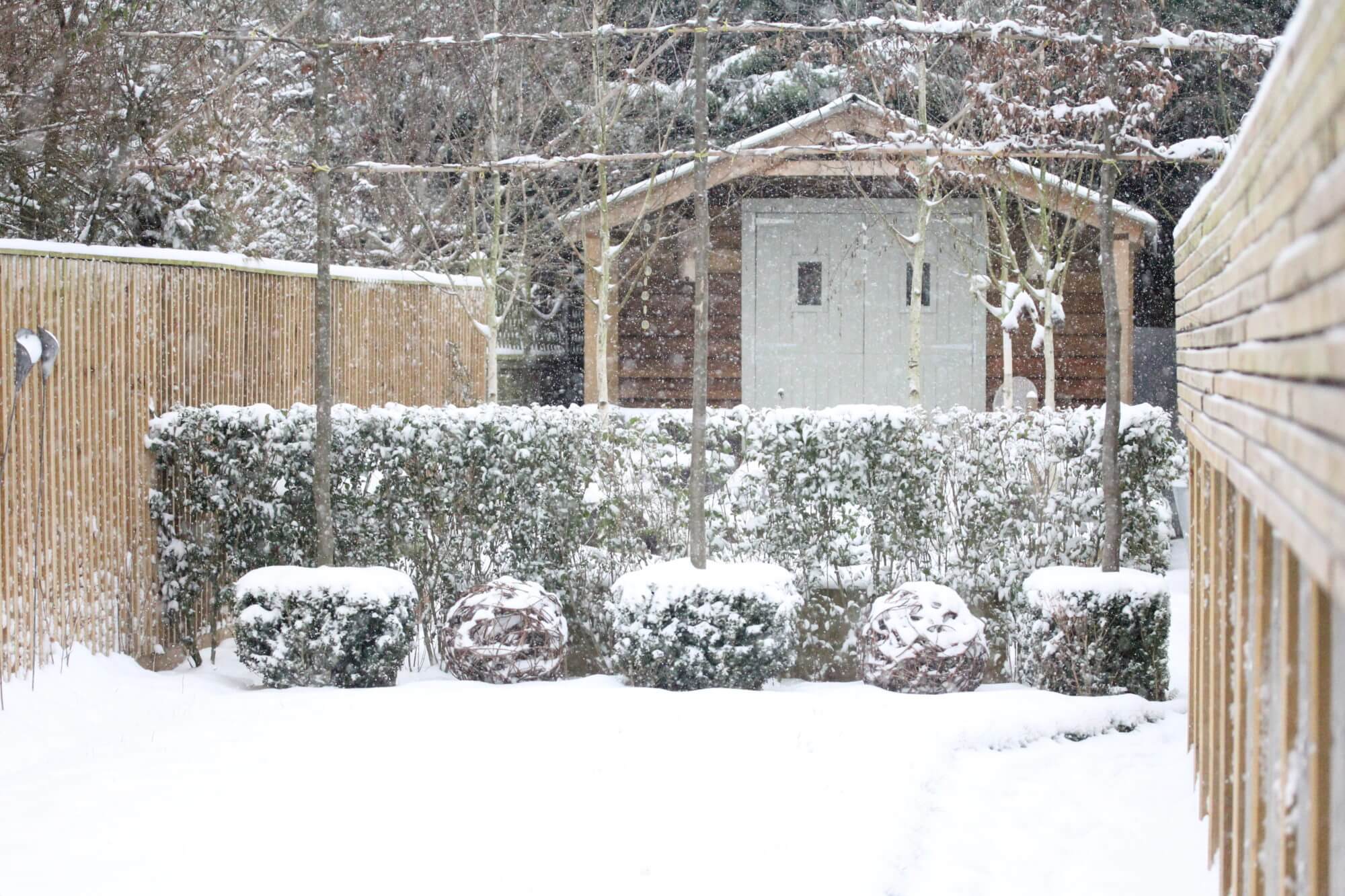 garden studio in a garden covered in snow