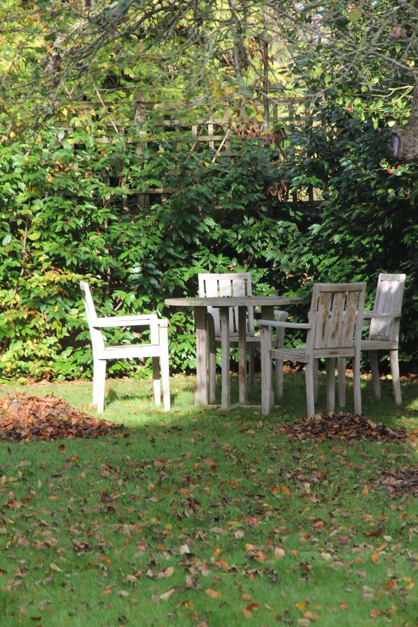 Wooden table and chairs in garden with pile of autumn leaves