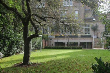 brown and orange leave pile on green lawn with big tree and football goal