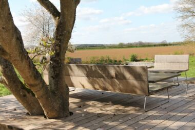 magnolia tree growing out of a deck beside a natural swimming pool