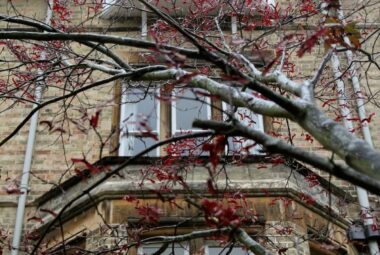 View of the front of the property showing back windows through autumnal trees