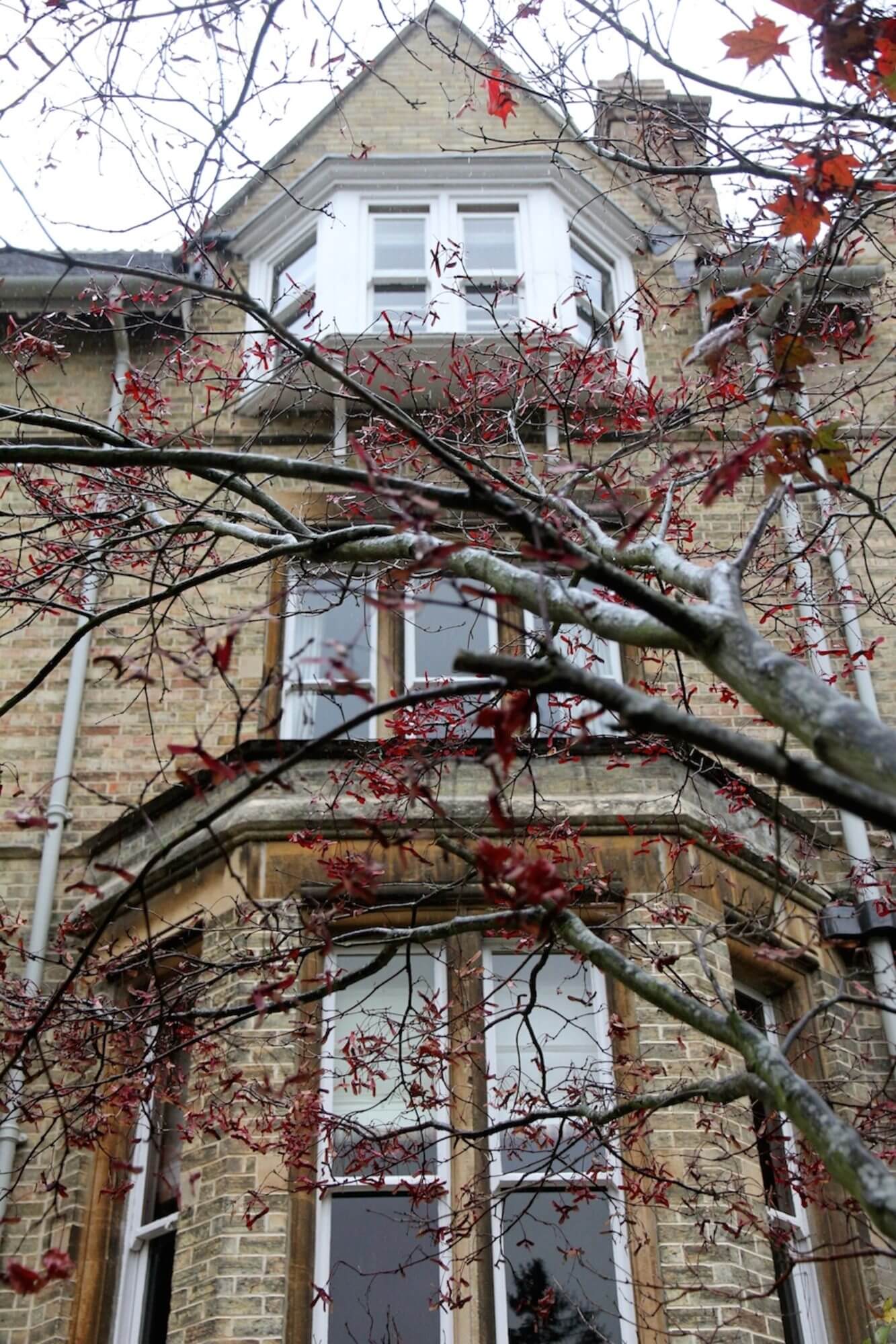 View of the front of the property showing back windows through autumnal trees