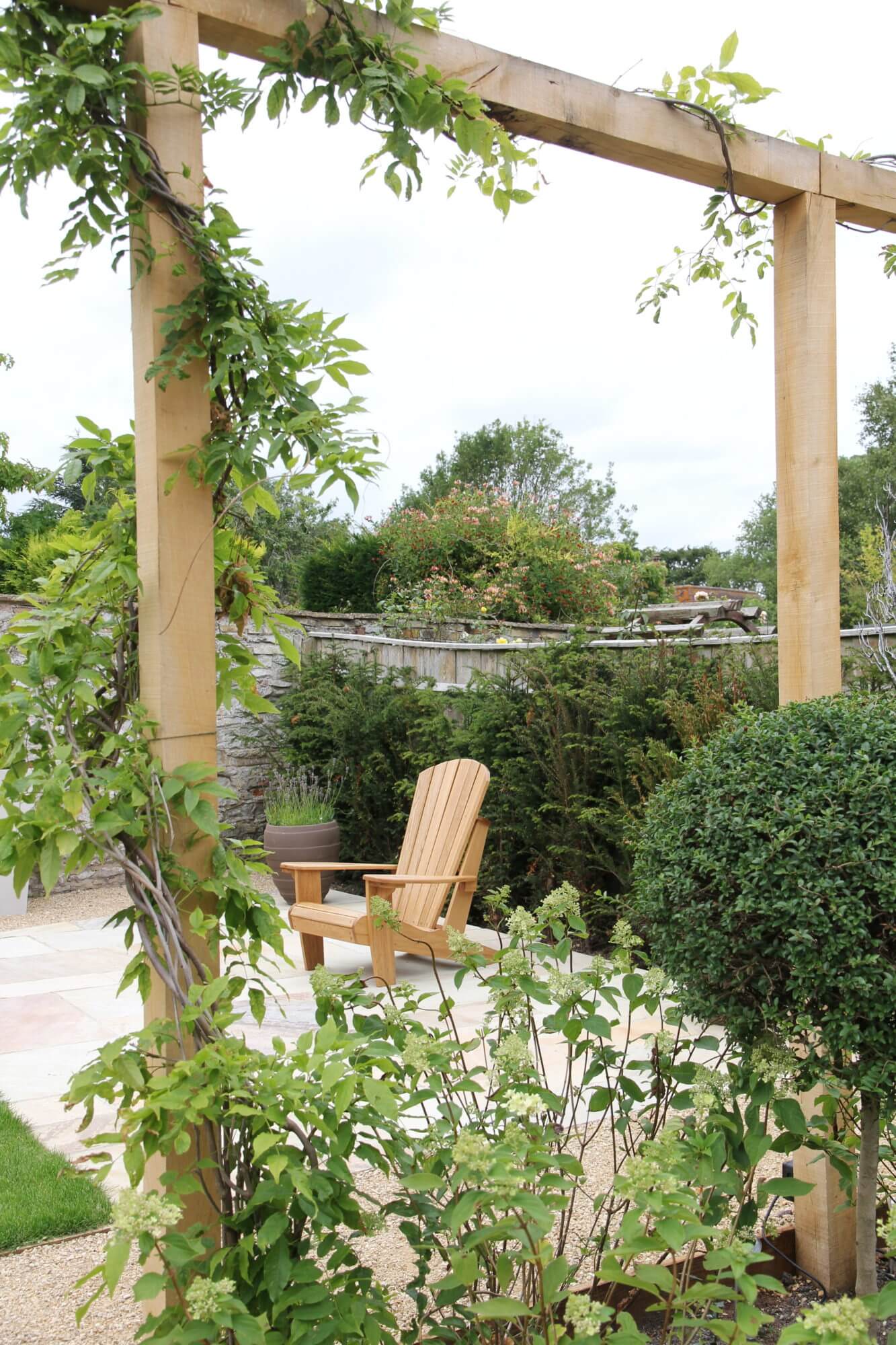 Wisteria climbing up wooden fixture