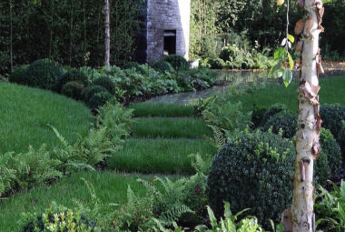 Ferns and topiary spheres in the bed of modern garden