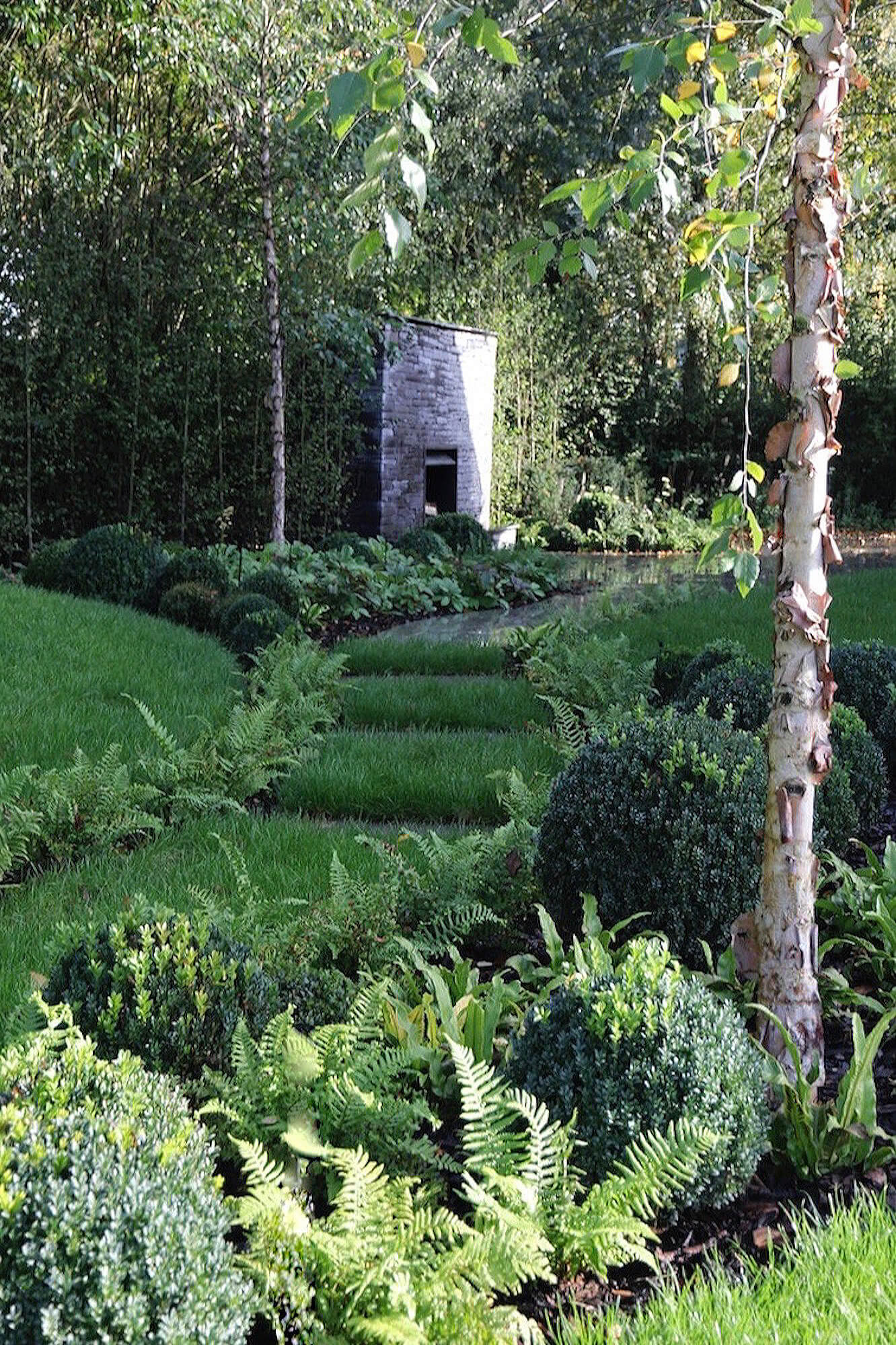 Ferns and topiary spheres in the bed of modern garden