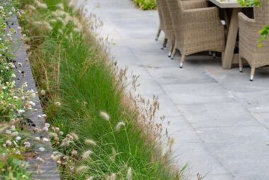 Padstow Cornwall Garden patio with planting