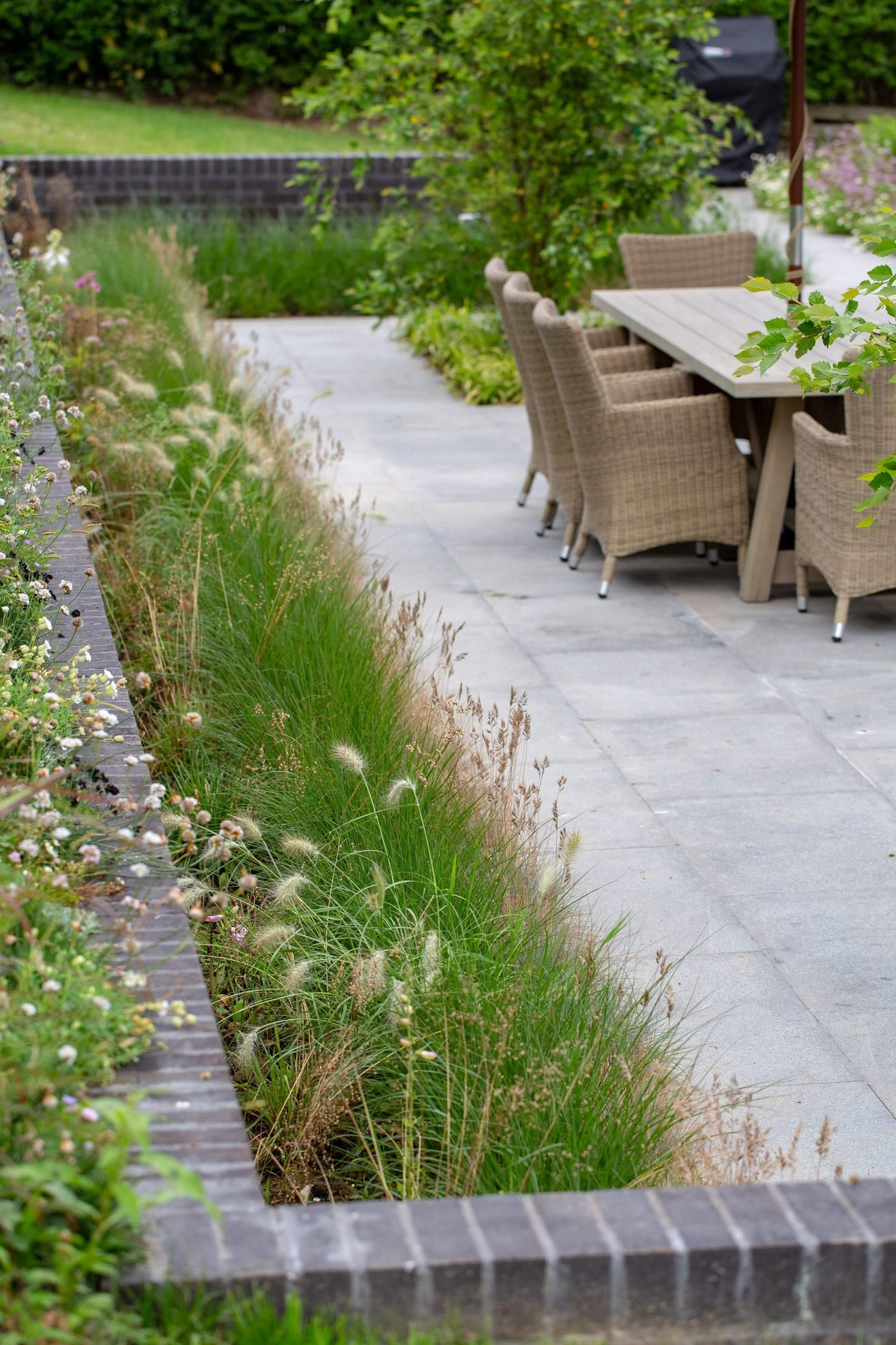 Padstow Cornwall Garden patio with planting