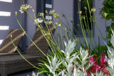 Cornwall Garden planting in sherbet colours