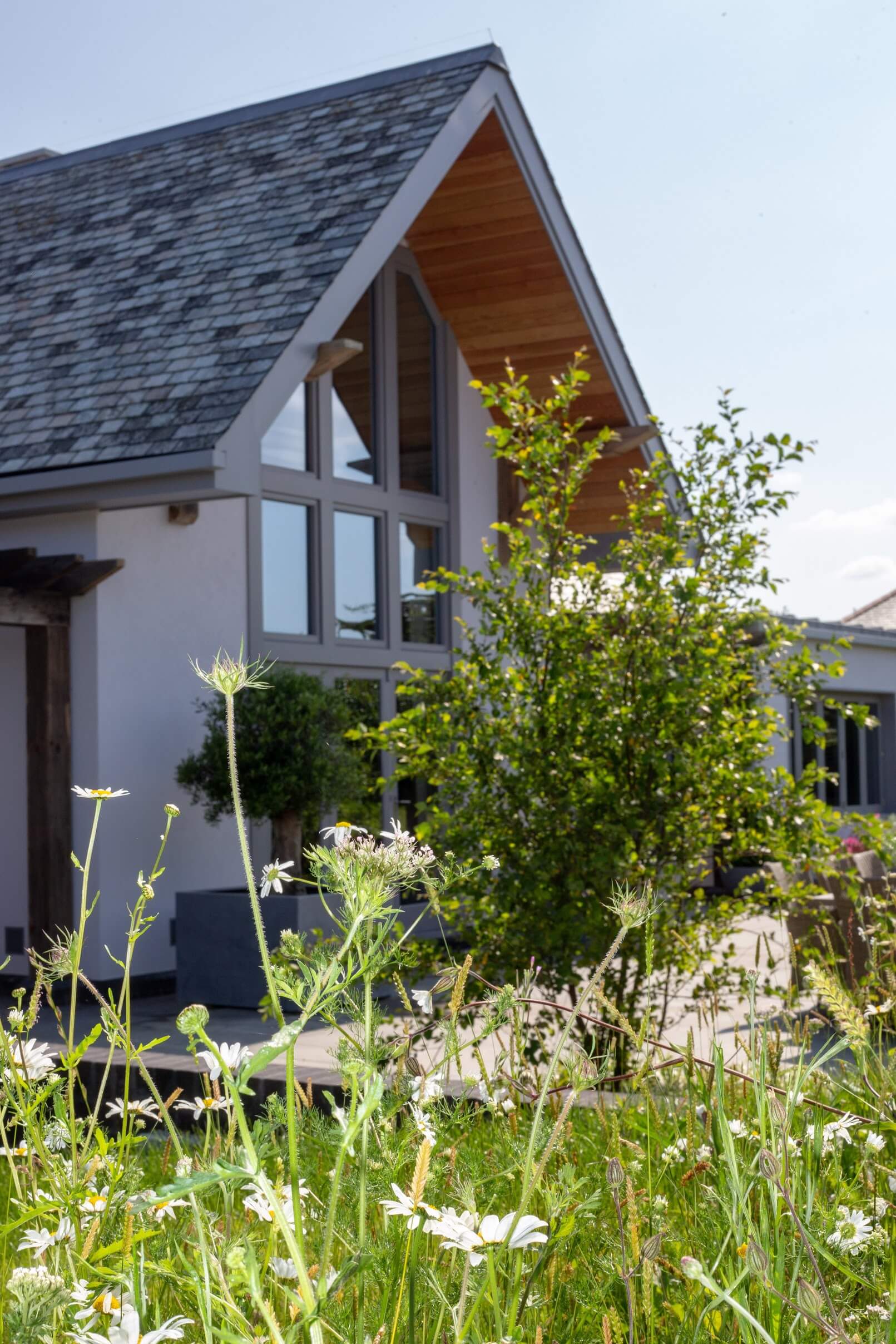 Cornwall Garden planting in sherbet colours