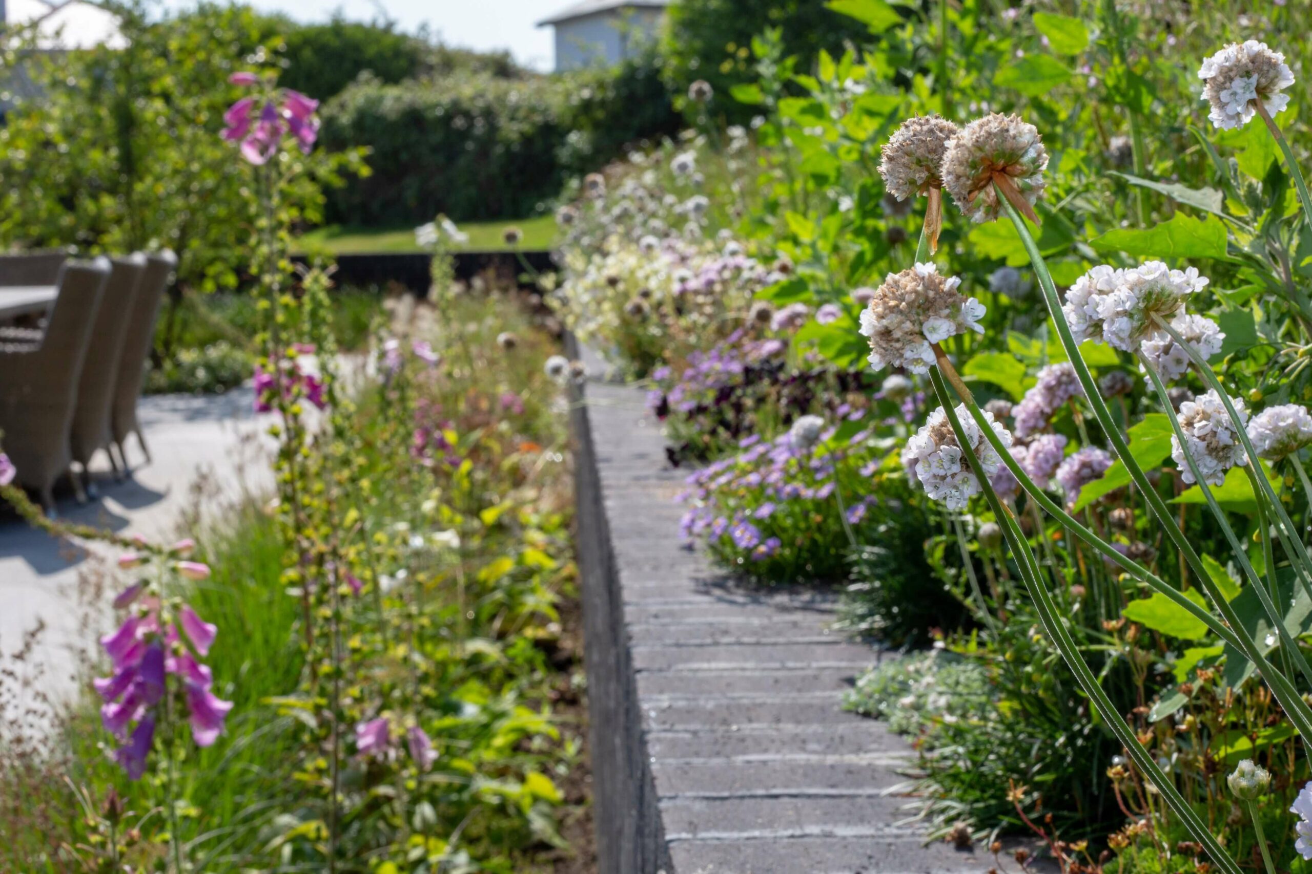 Padstow Cornwall Garden with planting in sherbet colours