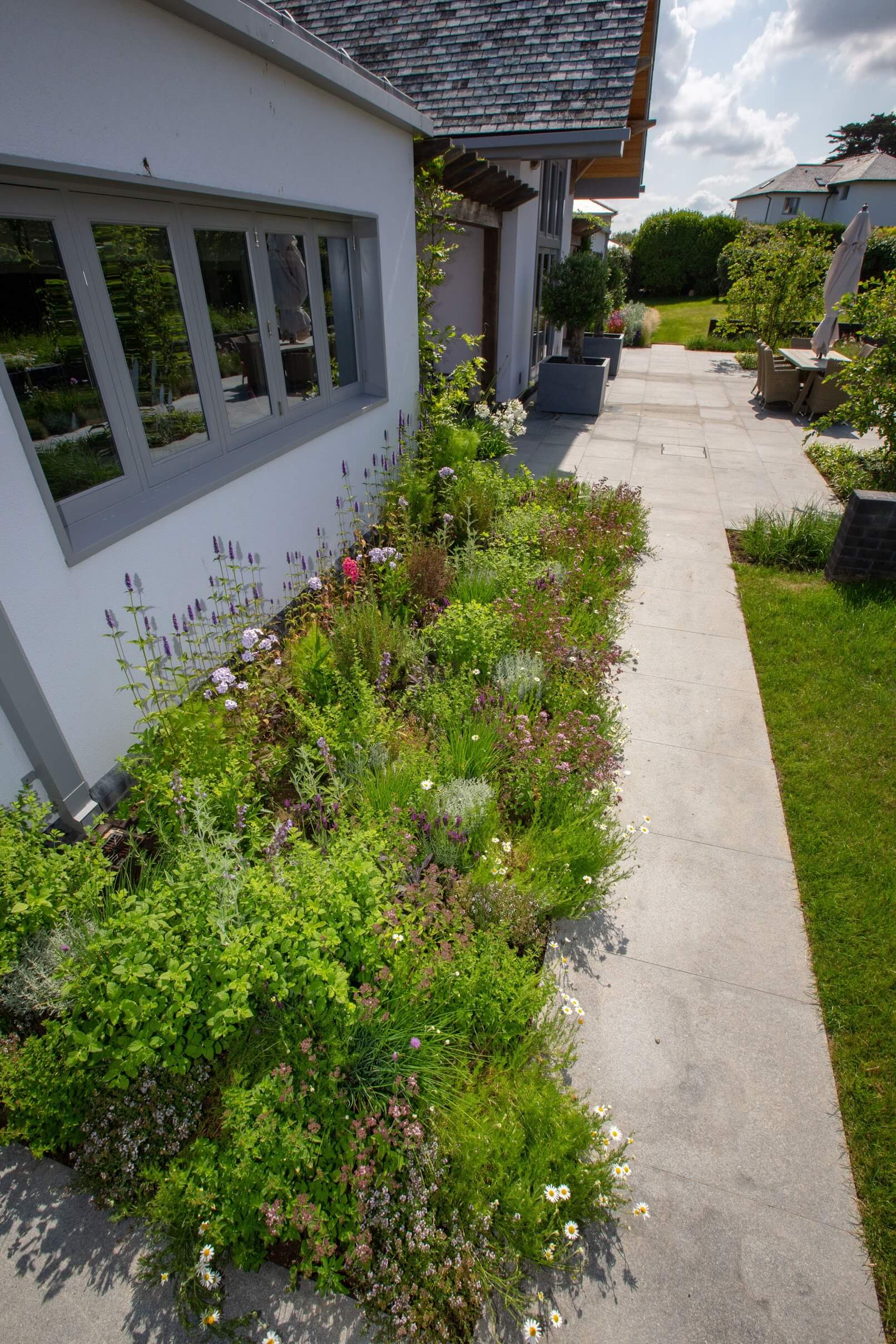 coastal herb garden