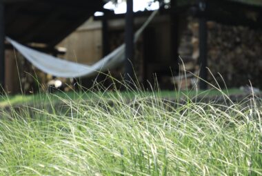 Hammock in the shack at Rolling Hound