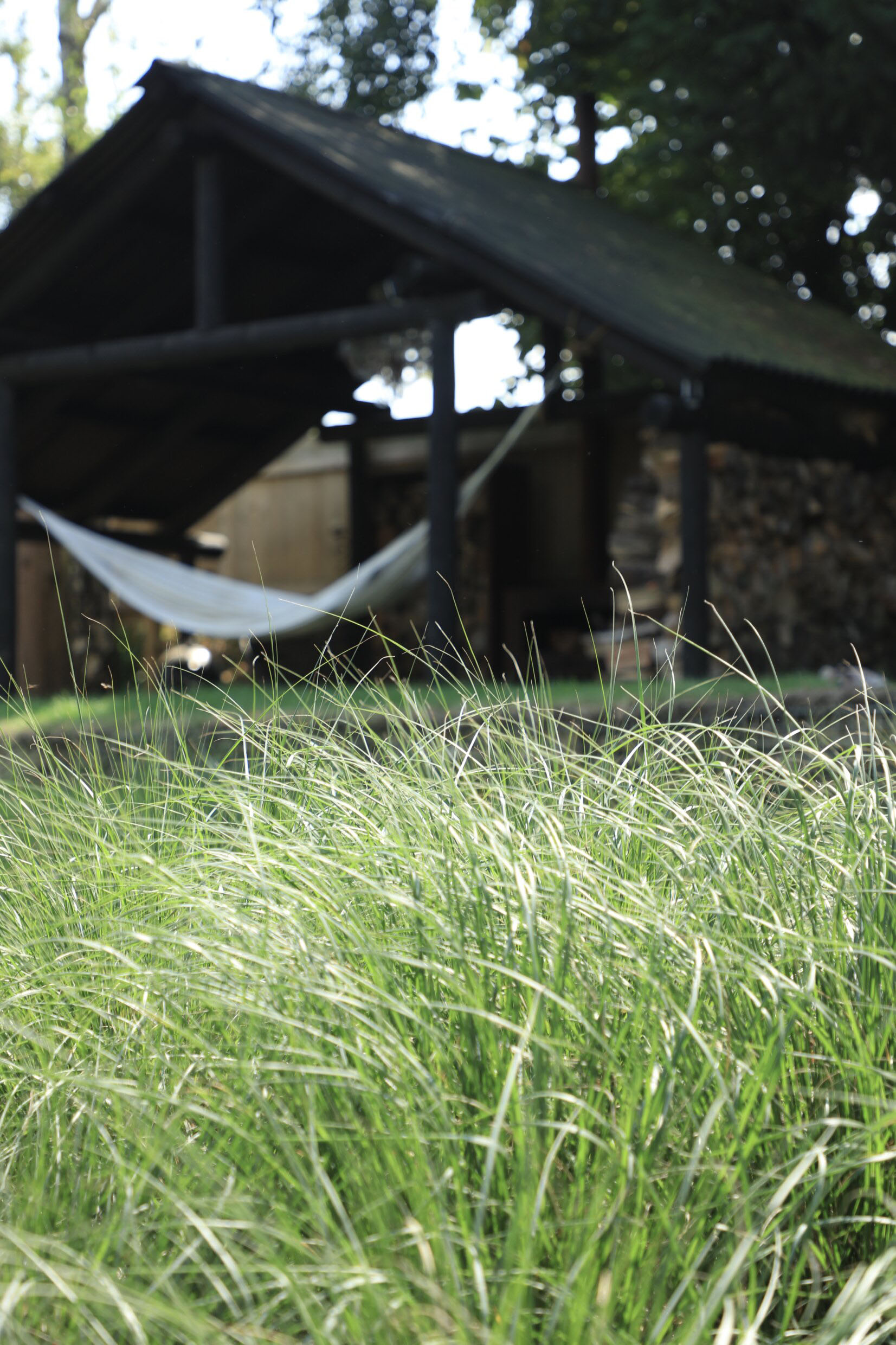 Hammock in the shack at Rolling Hound