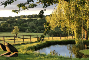 Architectural outdoor garden chair overlooking still water pond