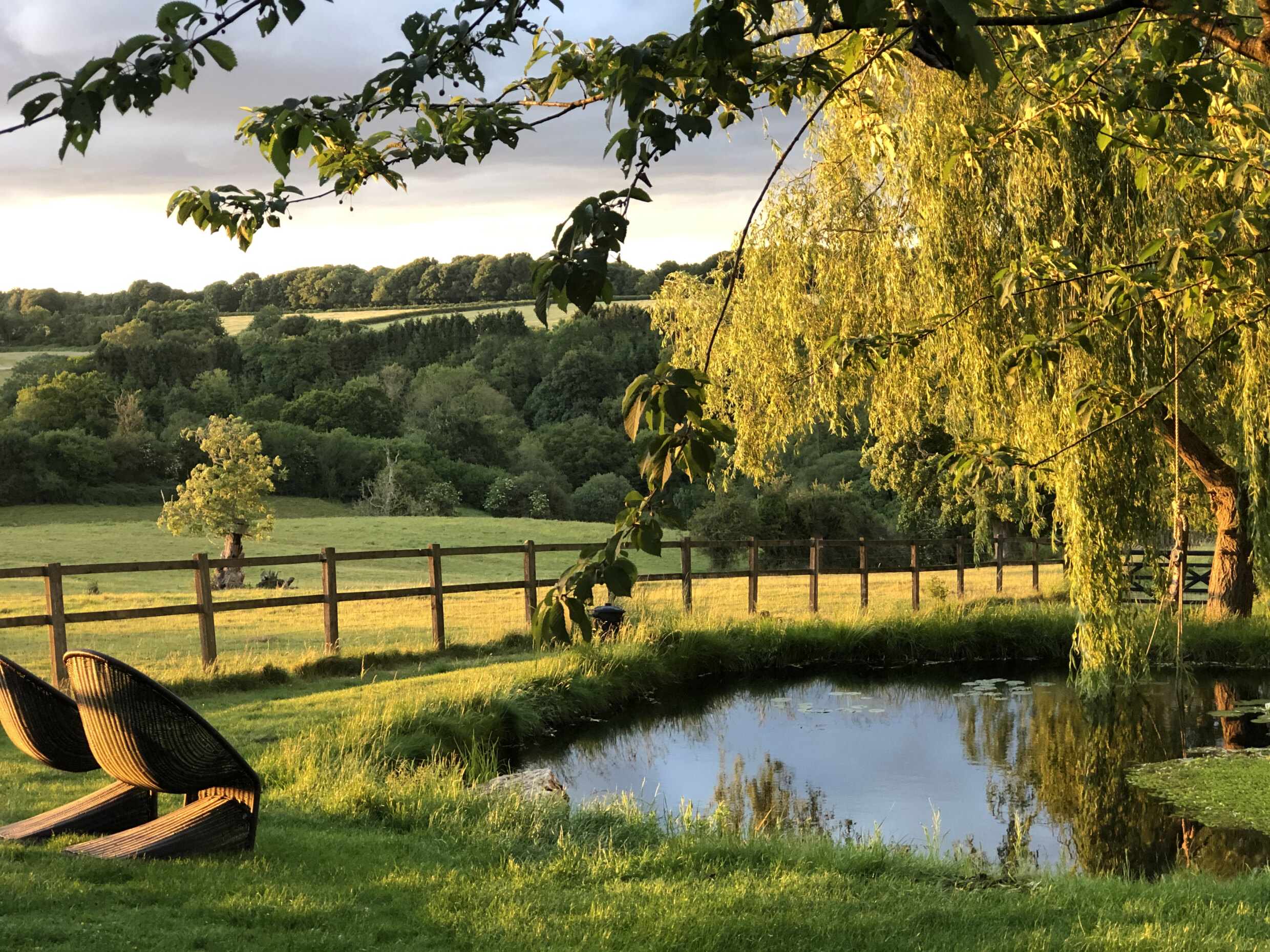 Architectural outdoor garden chair overlooking still water pond