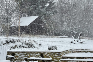 Snow falling on the shack as golden retriever walks up the steps in snowy garden