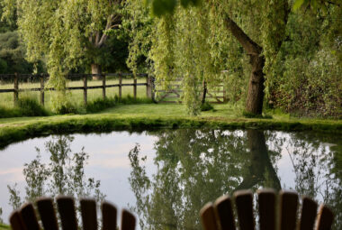 Two garden chairs looking over the pond with weeping willow tree