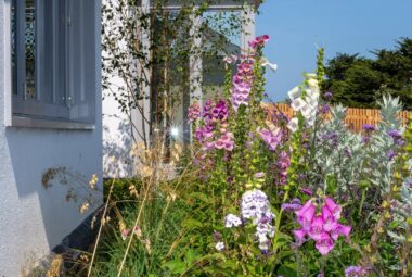 Cornwall Garden planting in sherbet colours