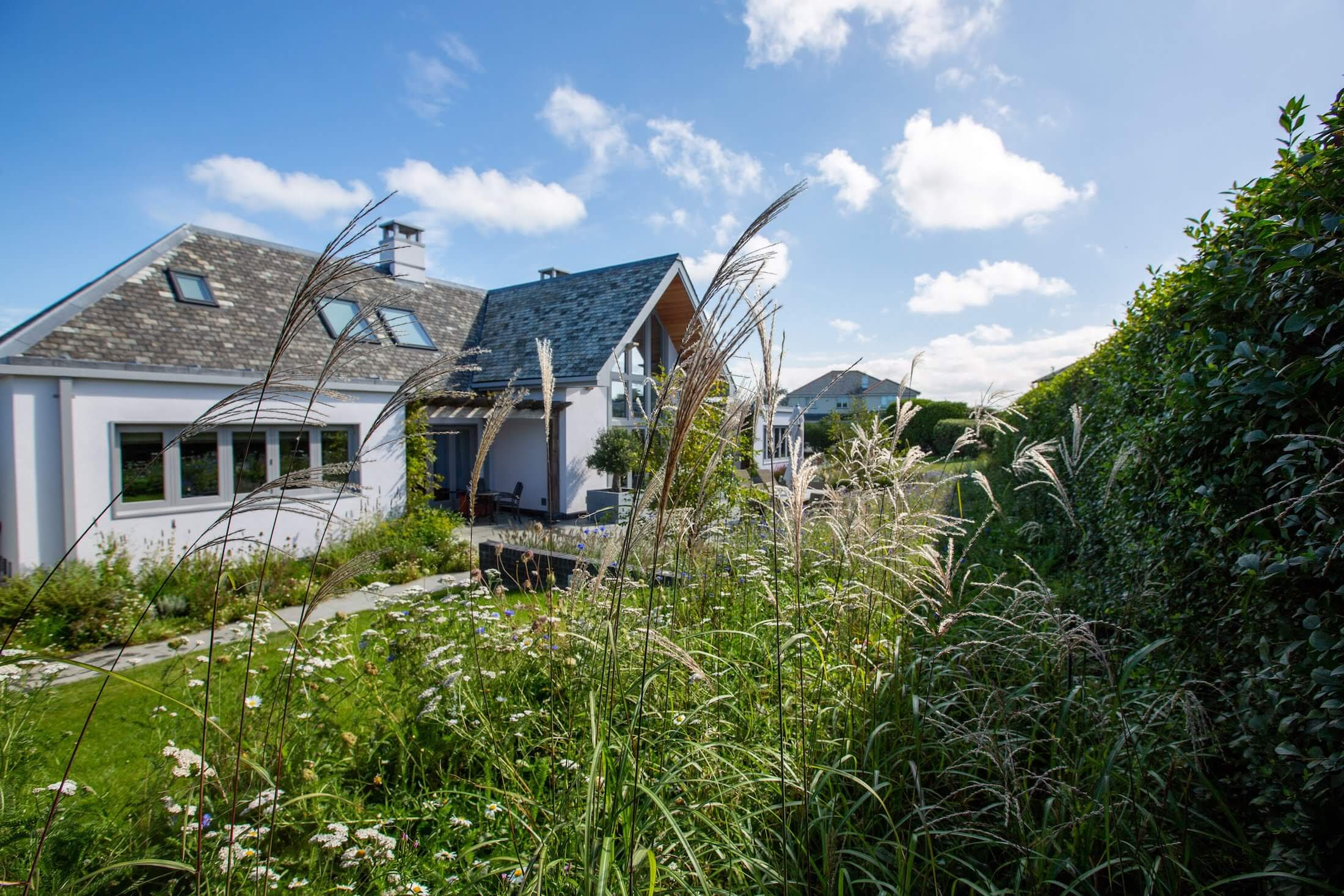 a Cornwall garden with wildflower meadows and prairie grass against a grey house