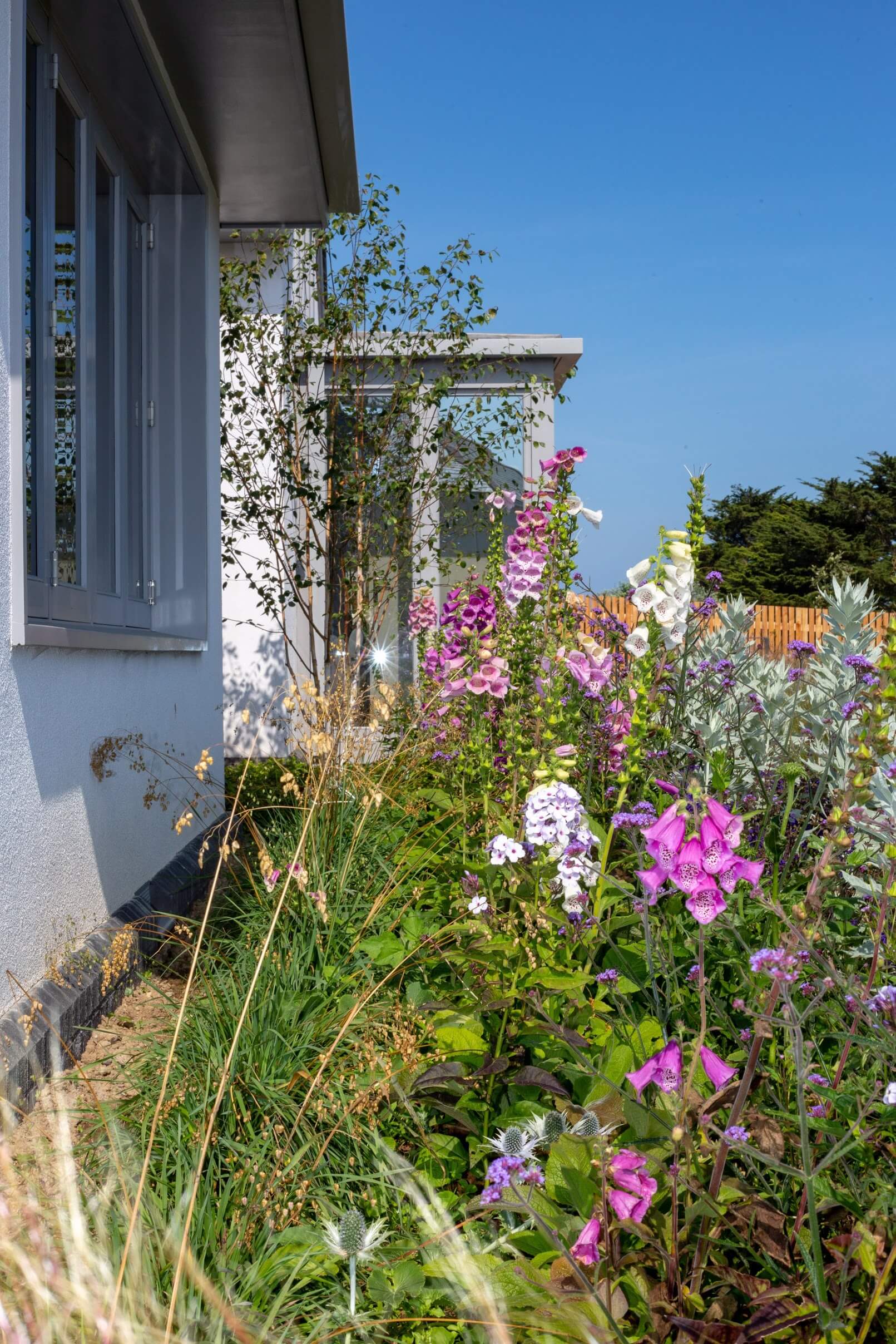 Cornwall Garden planting in sherbet colours