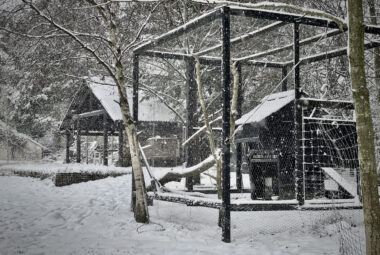 Bespoke chicken cube in snowy garden