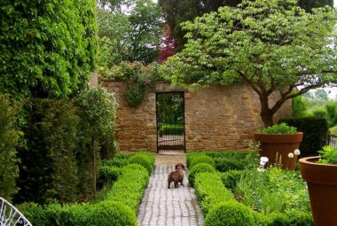 a sausage dog in a cobbled front garden with green trees and parterre planting in oxfordshire