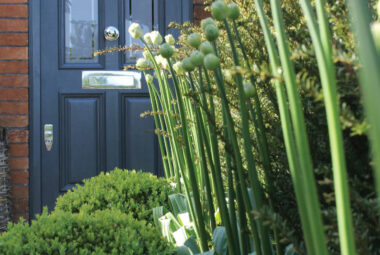 classic blue front door with alliums