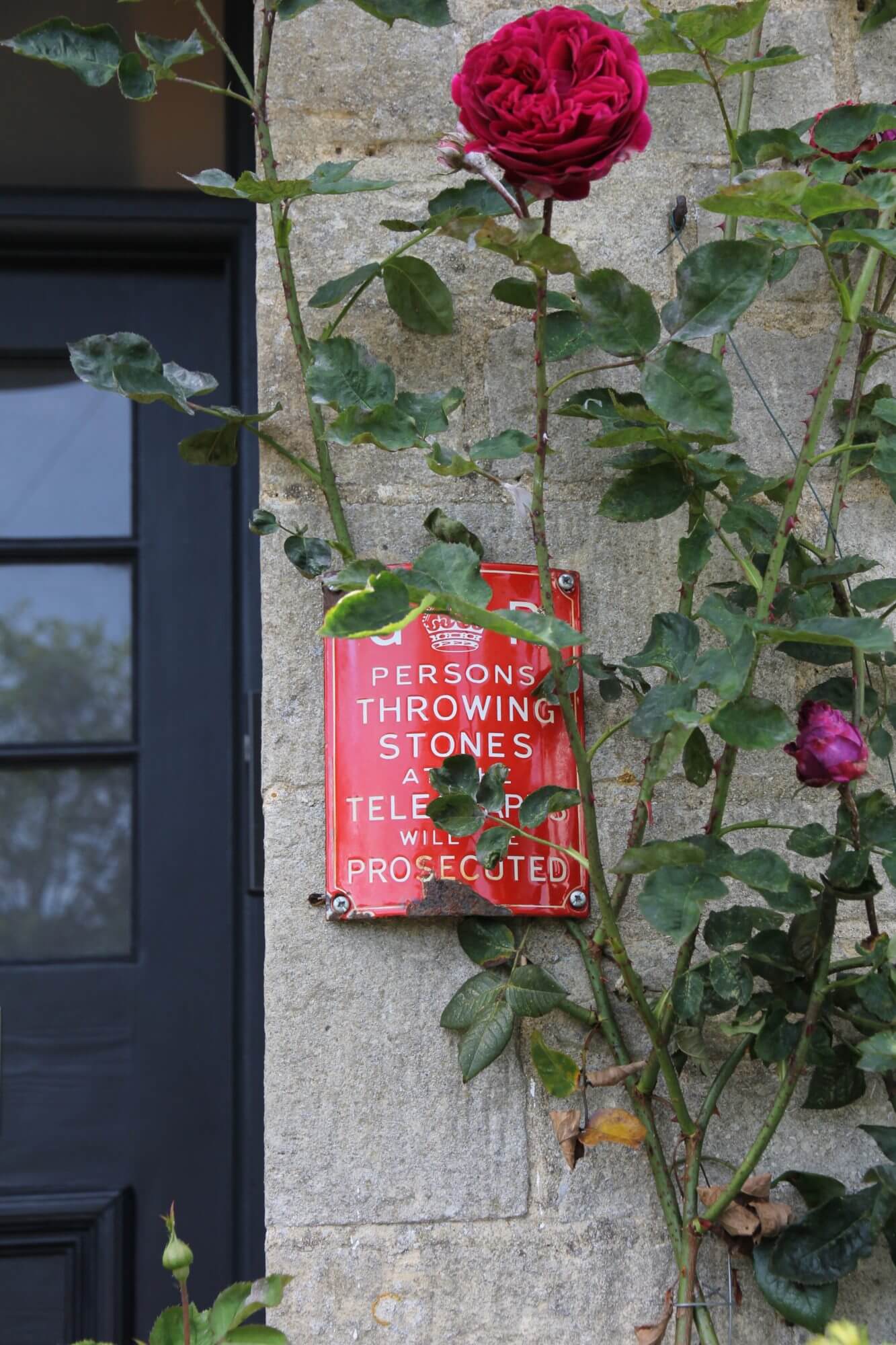 Vintage sign by front door next to climbing red rose